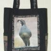 Quail Sophistication